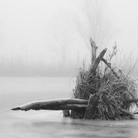 Small Balaton winterscape